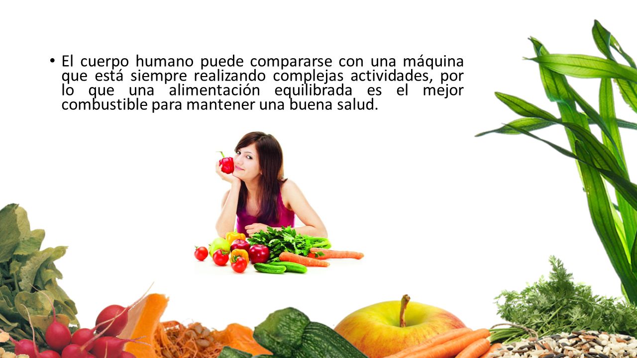 Importancia de la alimentacion para el mantenimiento de la salud